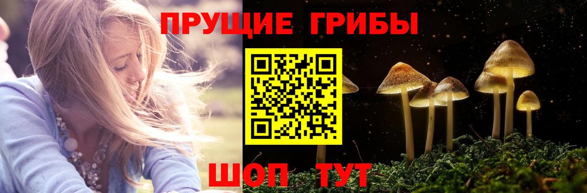 Барнаул  Псилоцибиновые грибы Magic Shrooms  Вход с VPN 